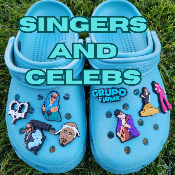 Singers and Celebs